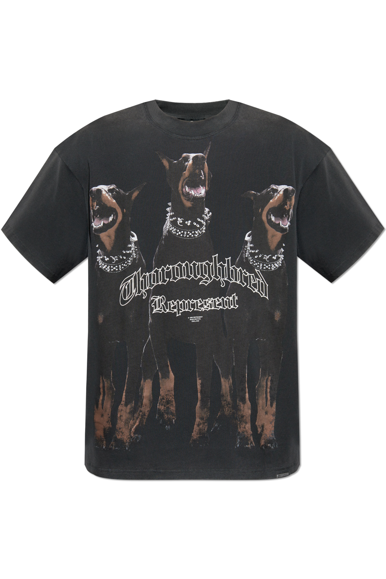 Represent T-shirt Thoroughbred | Men's Clothing | Vitkac
